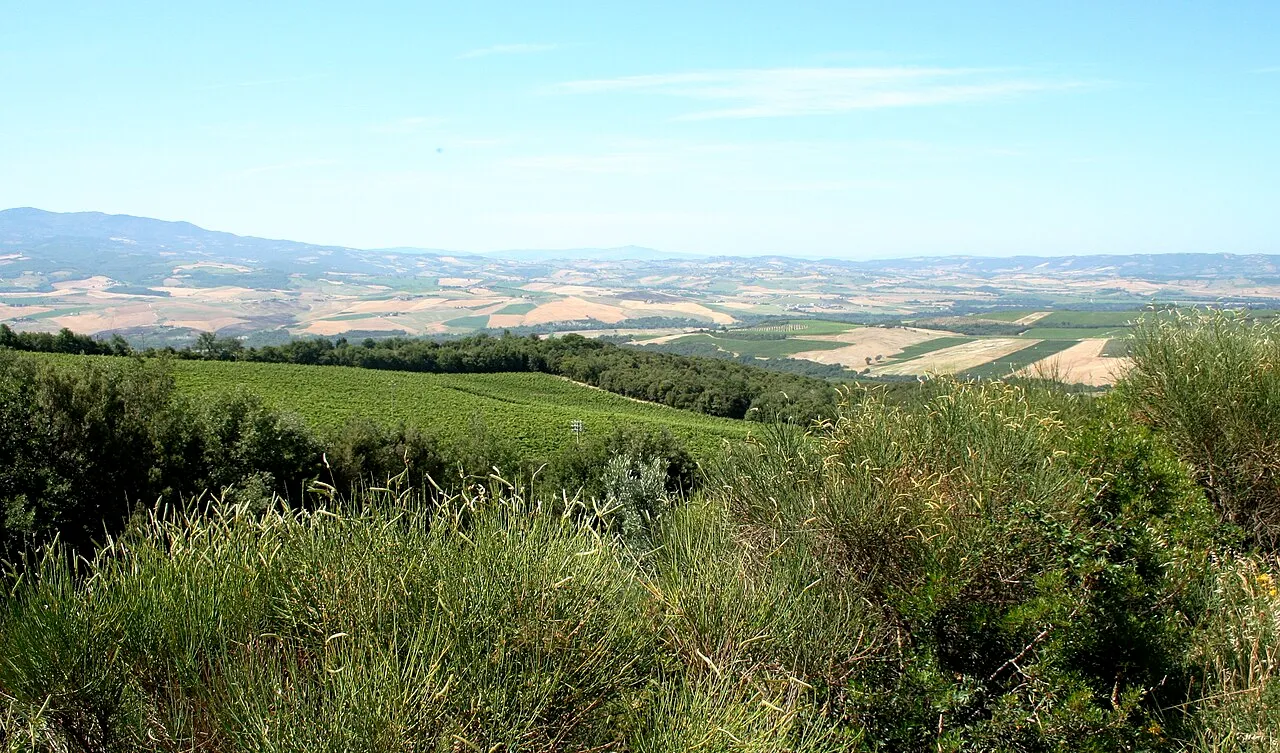 The hilltop town of Montalcino above rolling vineyards and olive groves in late-day light, wide landscape