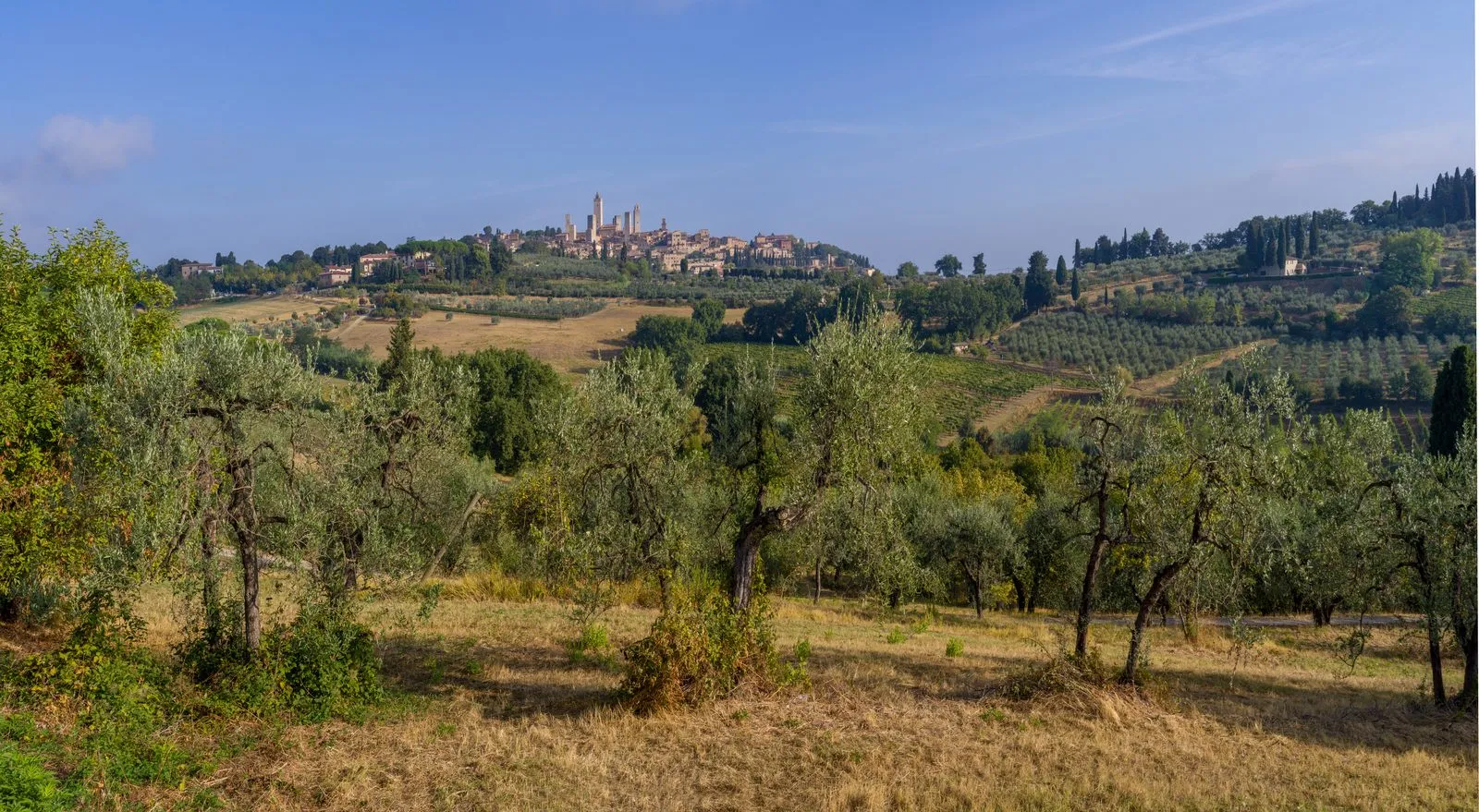 The medieval towers of San Gimignano rising above terracotta rooftops and surrounding vineyards, clear light, wide landscape