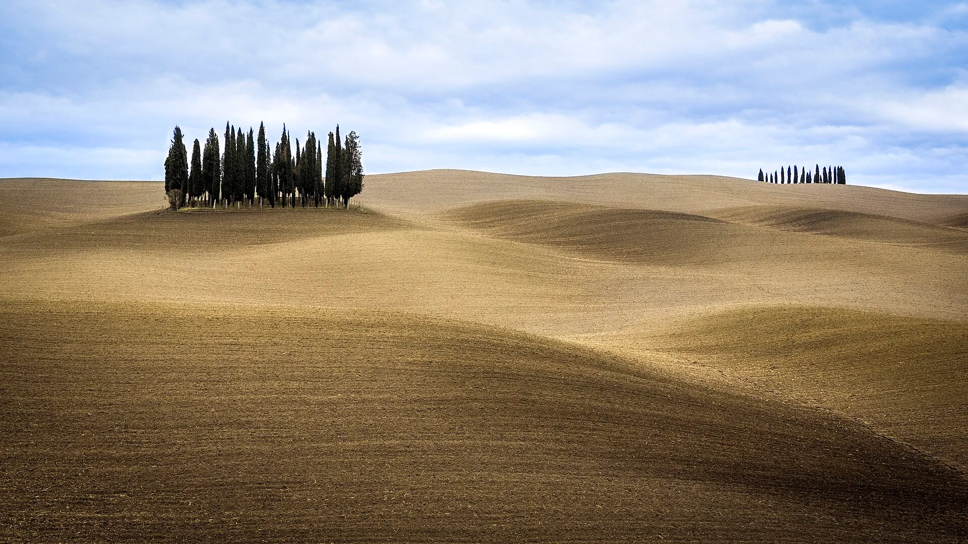 The rolling cypress-lined hills of Tuscany between Siena and the Val d'Orcia